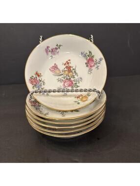 (6) Vintage Limoges Made In France for Stern Brothers Fruit Dessert Bowls 5.25”